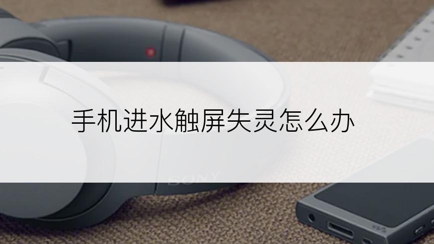手机进水触屏失灵怎么办