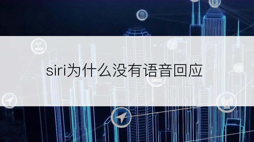 siri为什么没有语音回应