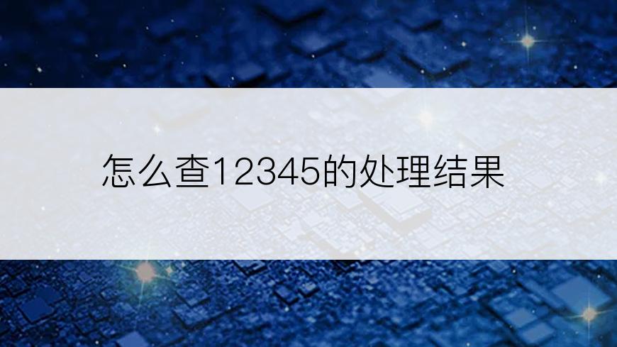 怎么查12345的处理结果