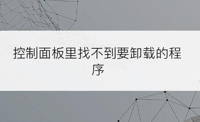 控制面板里找不到要卸载的程序