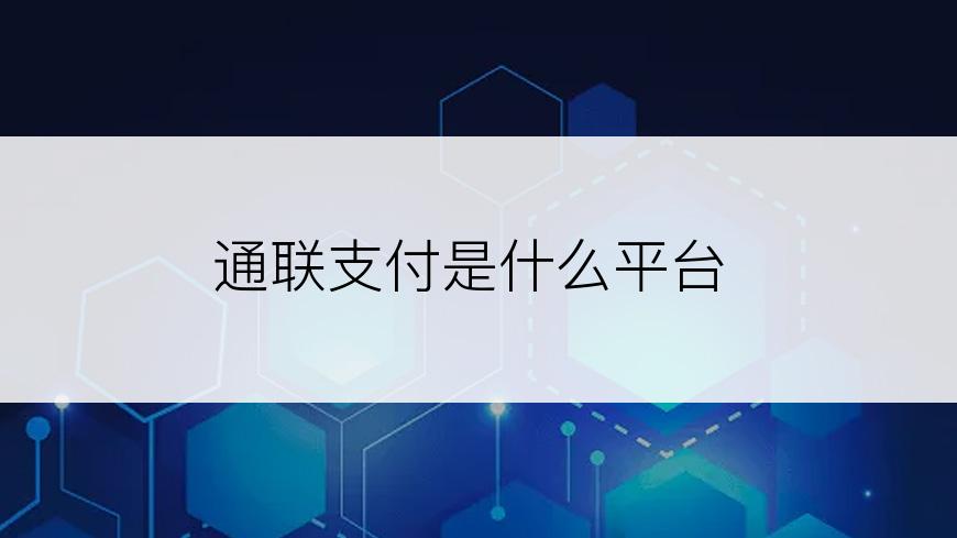 通联支付是什么平台