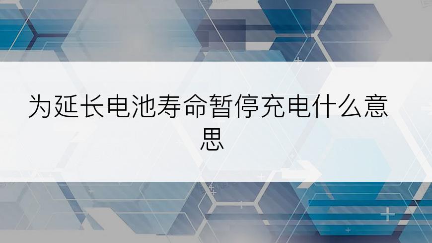 为延长电池寿命暂停充电什么意思