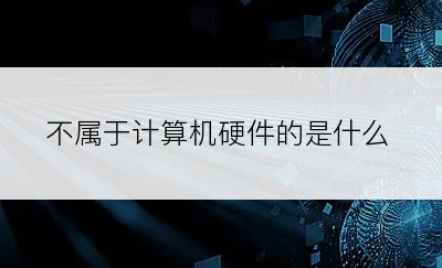 不属于计算机硬件的是什么
