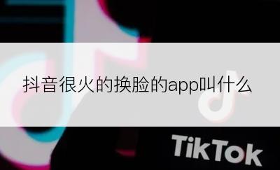 抖音很火的换脸的app叫什么