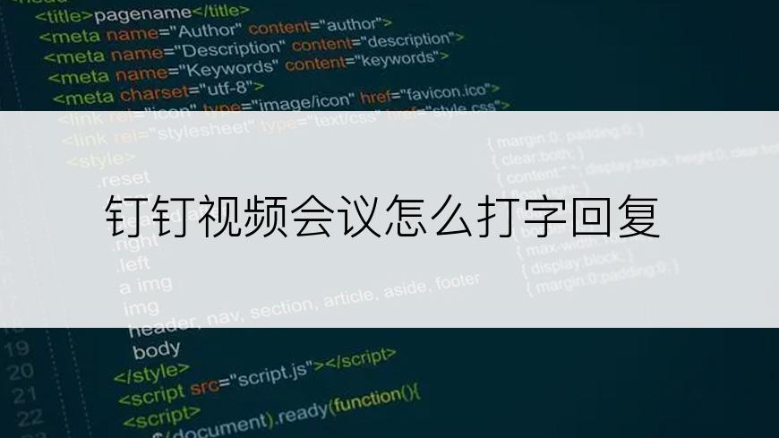钉钉视频会议怎么打字回复
