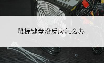 鼠标键盘没反应怎么办