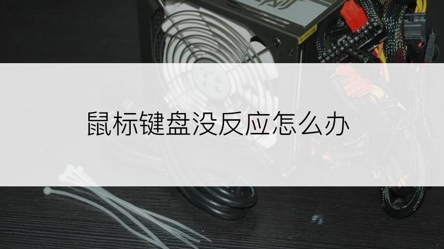 鼠标键盘没反应怎么办