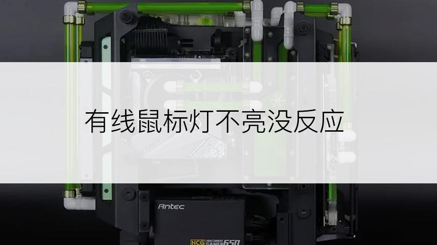有线鼠标灯不亮没反应