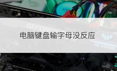 电脑键盘输字母没反应