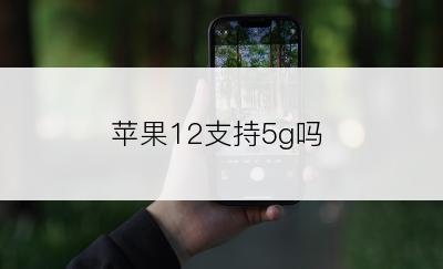 苹果12支持5g吗