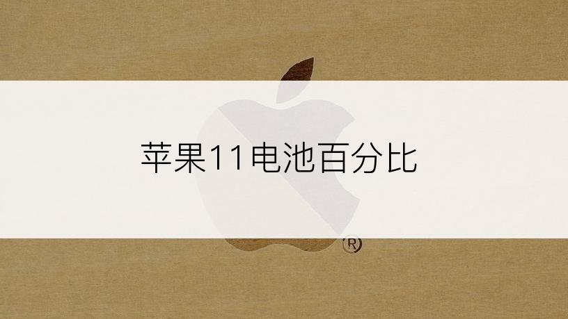 苹果11电池百分比