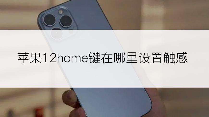 苹果12home键在哪里设置触感