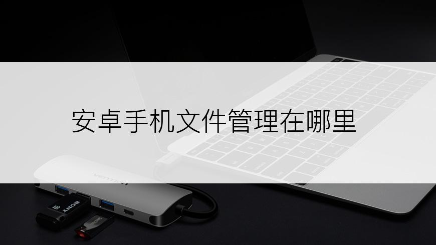 安卓手机文件管理在哪里