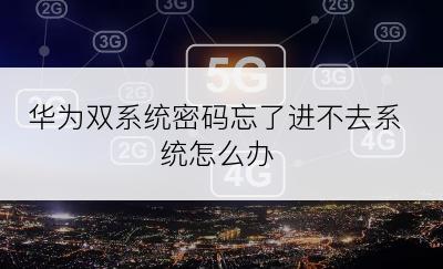 华为双系统密码忘了进不去系统怎么办