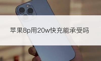 苹果8p用20w快充能承受吗