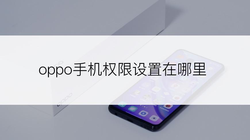 oppo手机权限设置在哪里
