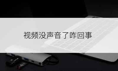 视频没声音了咋回事