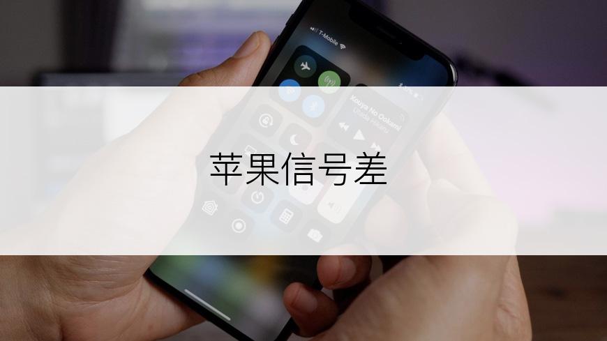 苹果信号差