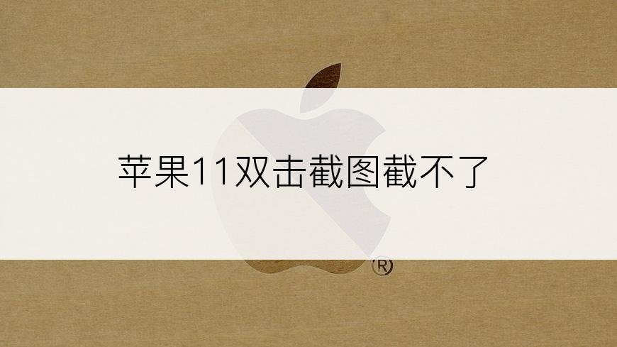 苹果11双击截图截不了