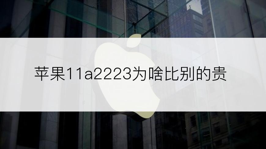苹果11a2223为啥比别的贵