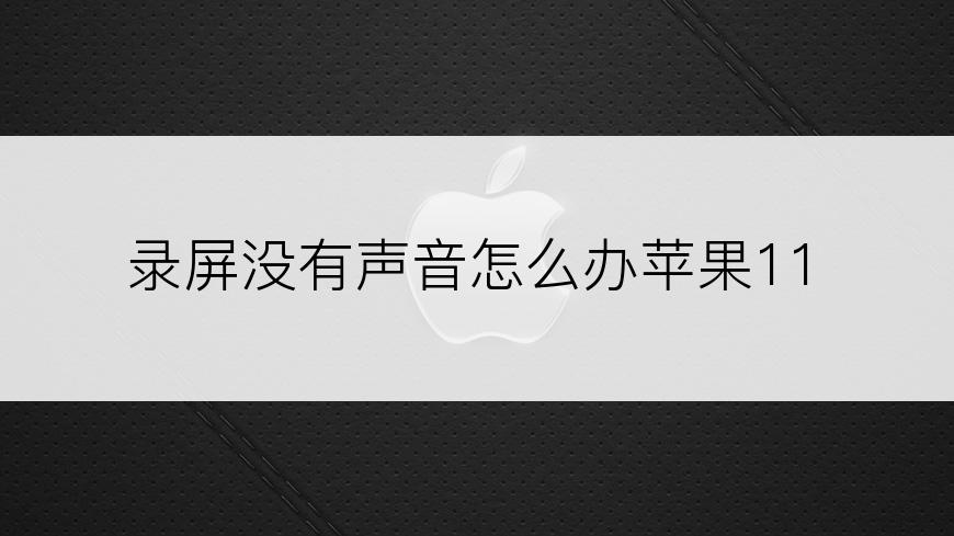 录屏没有声音怎么办苹果11