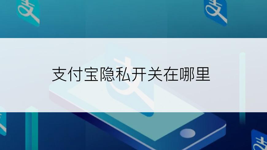 支付宝隐私开关在哪里