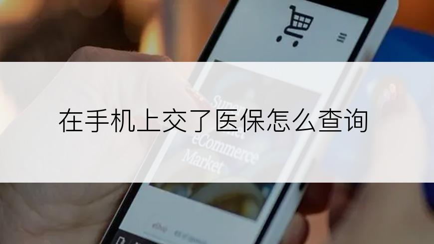在手机上交了医保怎么查询