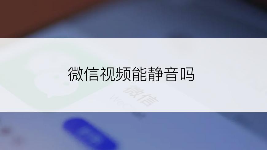 微信视频能静音吗