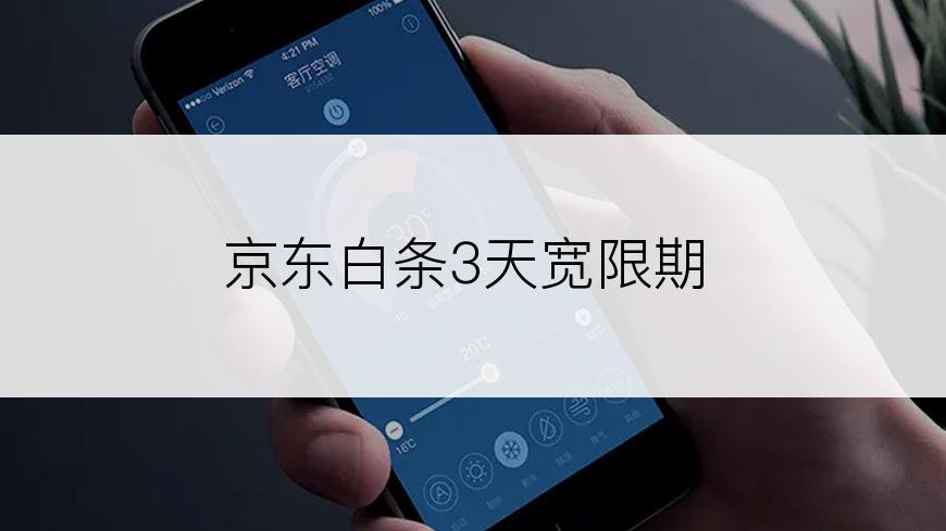 京东白条3天宽限期