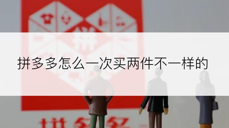 拼多多怎么一次买两件不一样的
