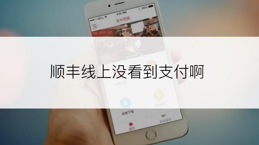 顺丰线上没看到支付啊