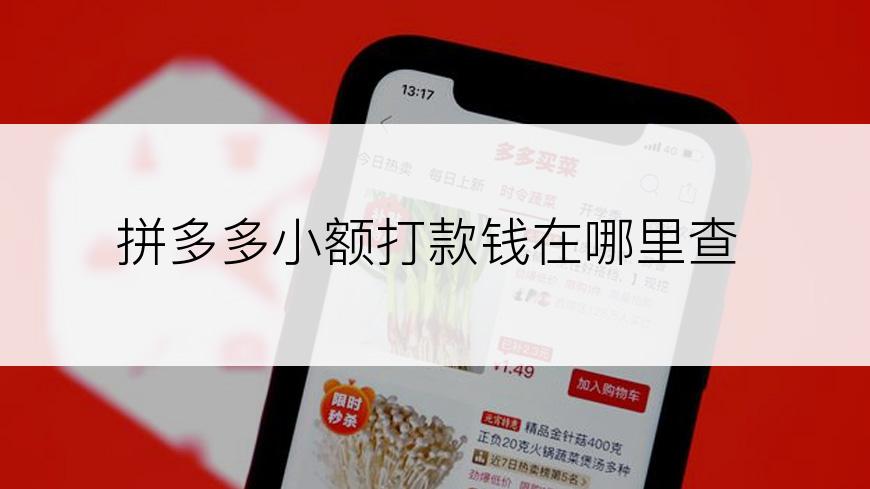 拼多多小额打款钱在哪里查