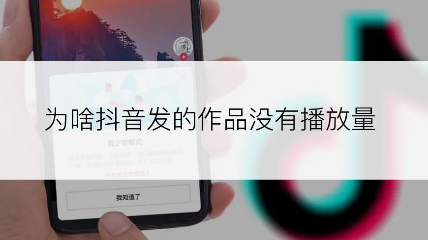 为啥抖音发的作品没有播放量