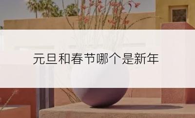 元旦和春节哪个是新年