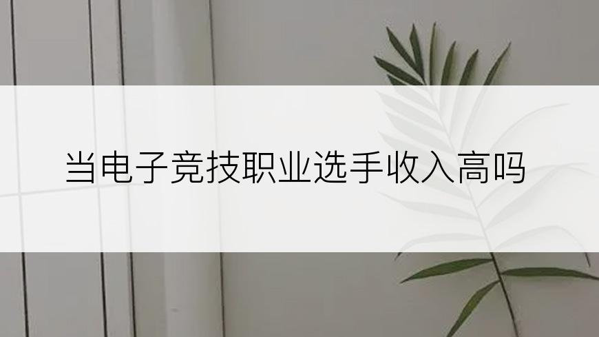 当电子竞技职业选手收入高吗