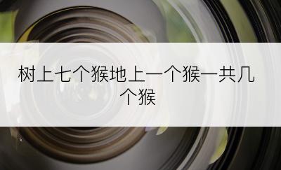 树上七个猴地上一个猴一共几个猴