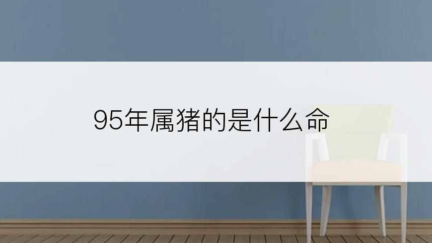 95年属猪的是什么命