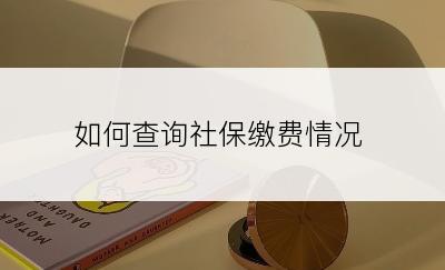 如何查询社保缴费情况