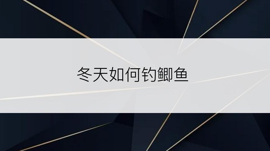 冬天如何钓鲫鱼