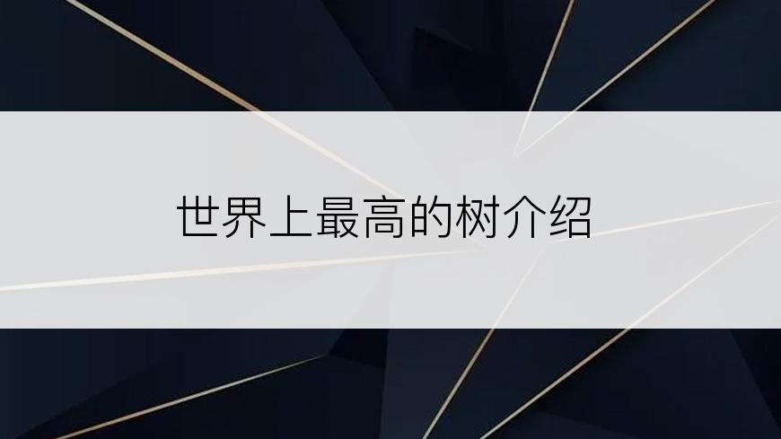 世界上最高的树介绍