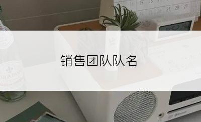 销售团队队名