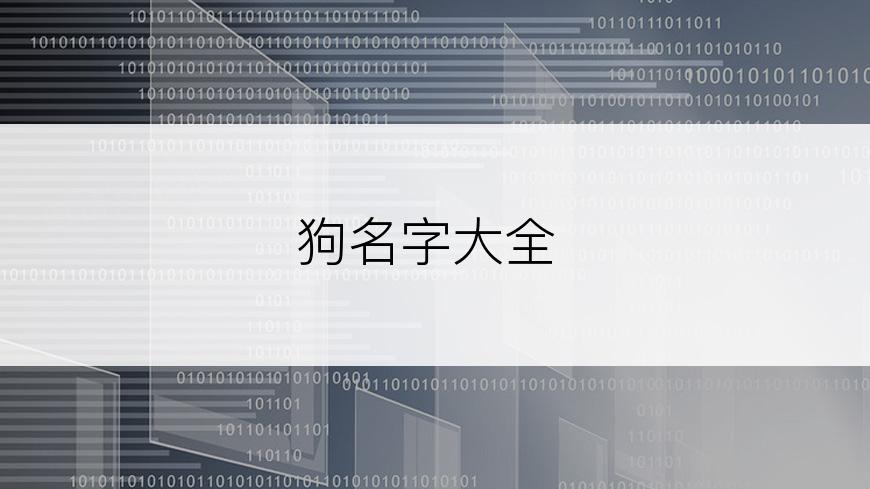 狗名字大全
