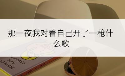 那一夜我对着自己开了一枪什么歌