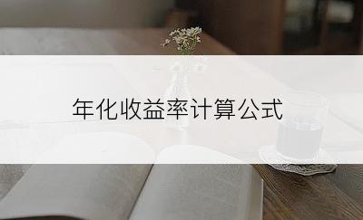 年化收益率计算公式