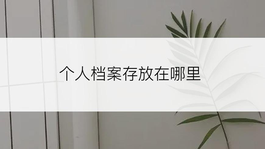 个人档案存放在哪里