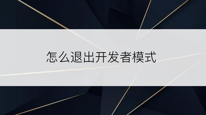 怎么退出开发者模式