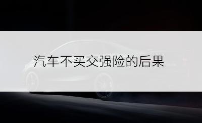 汽车不买交强险的后果
