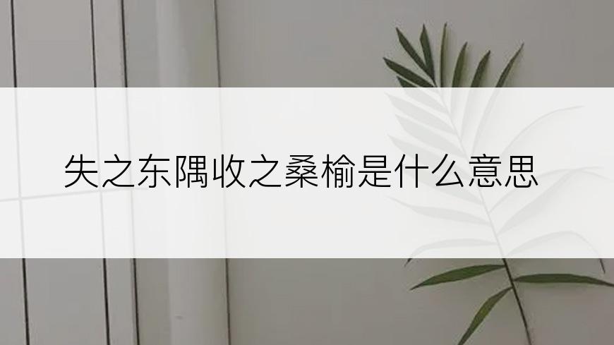 失之东隅收之桑榆是什么意思