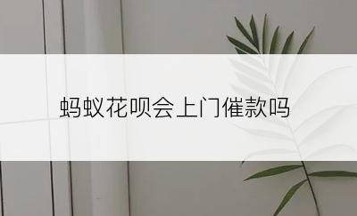 蚂蚁花呗会上门催款吗