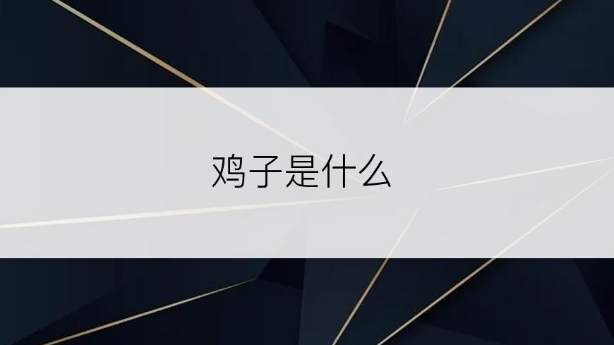 鸡子是什么